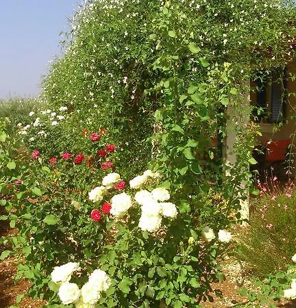 Korallis Villas Karavádhos Exterior photo