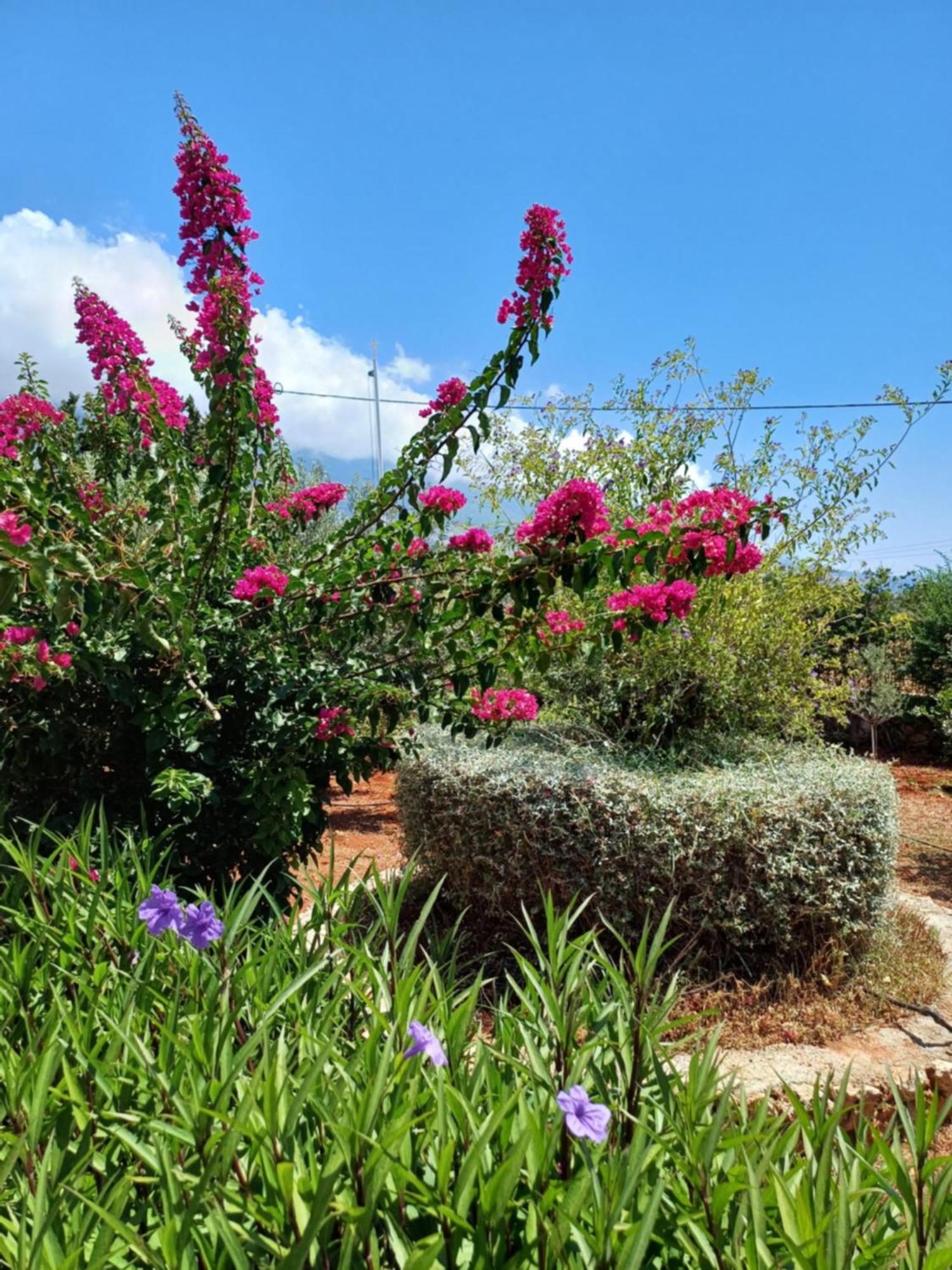 Korallis Villas * Karavados