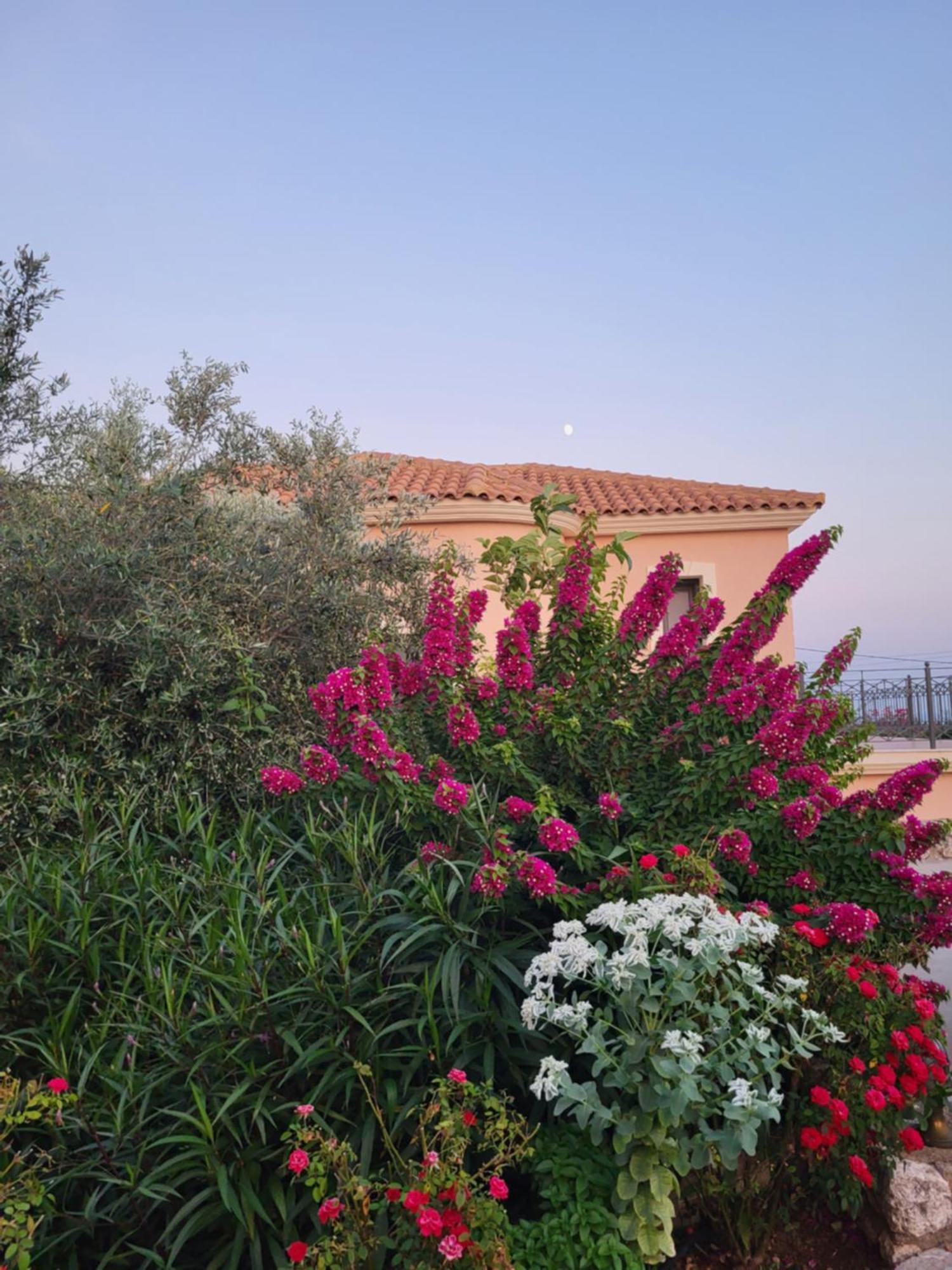 Apartment Korallis Villas Karavados