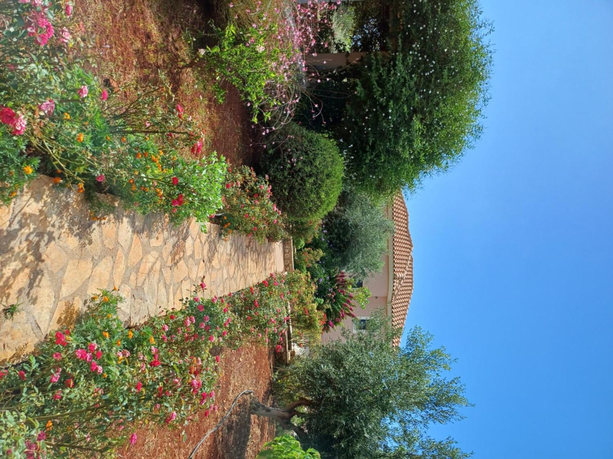 Korallis Villas Karavados
