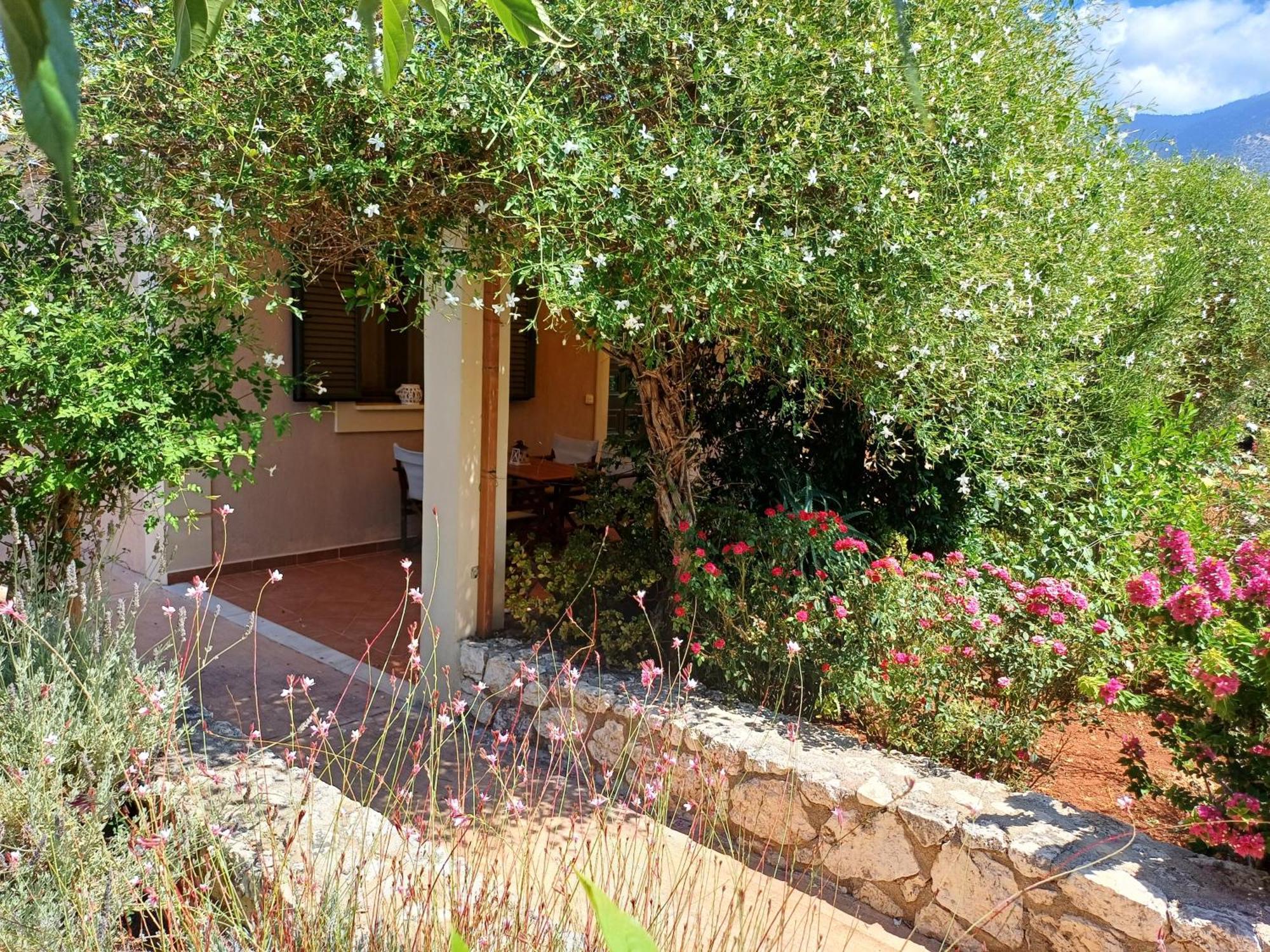 Korallis Villas Apartment