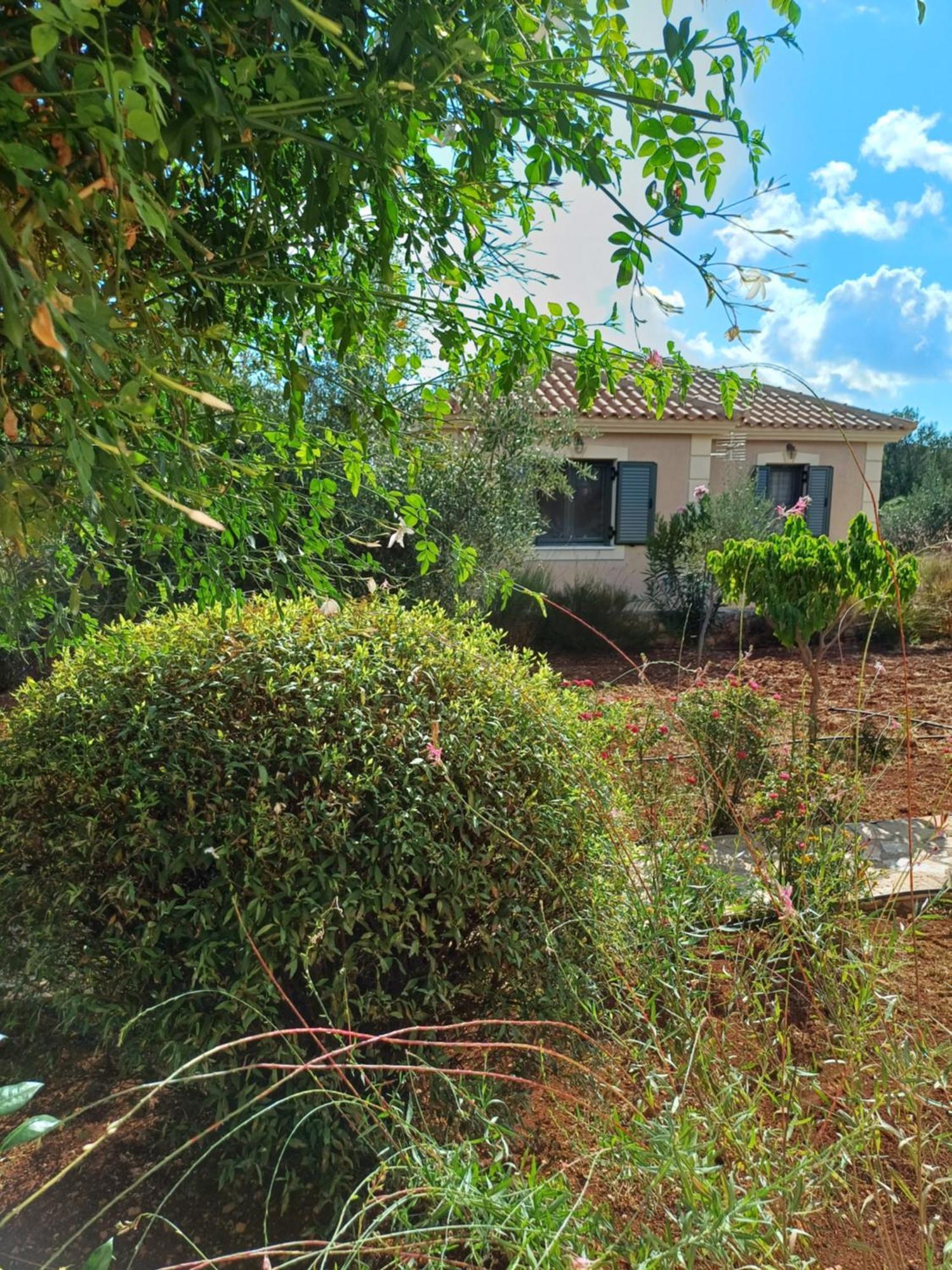 Korallis Villas Apartment Karavados